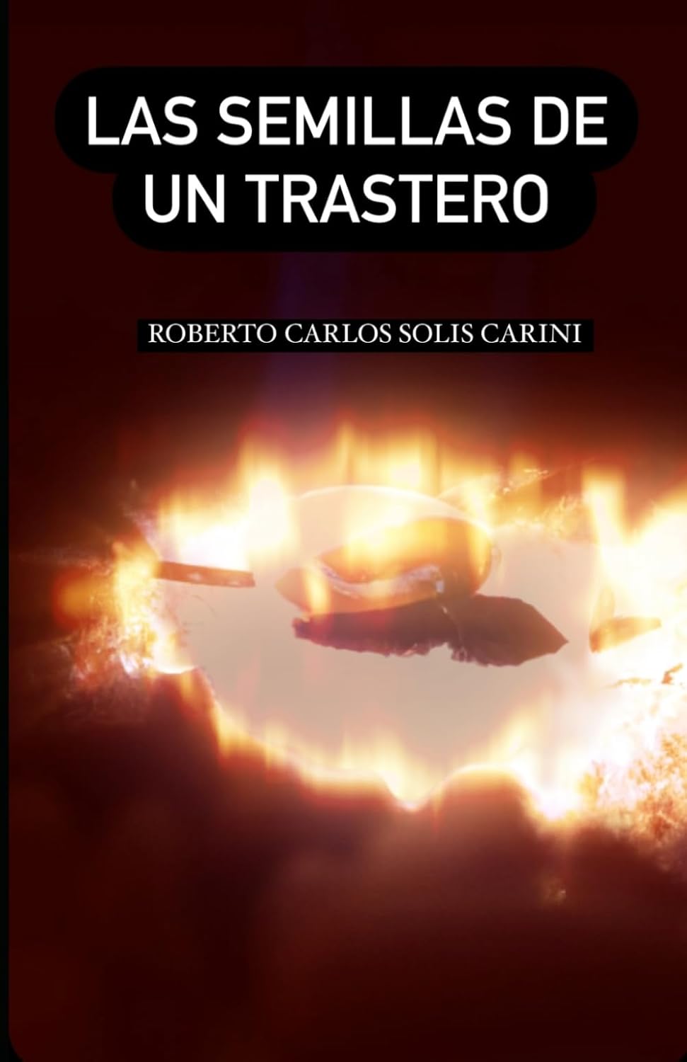 Carátula de Las semillas de un trastero