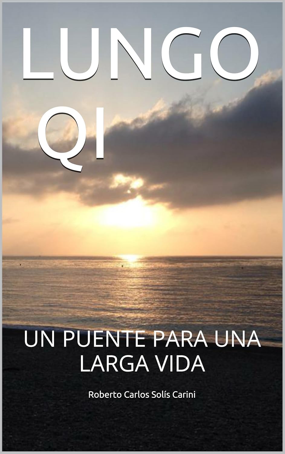 Carátula de Lungo Qi: Un puente para una larga vida